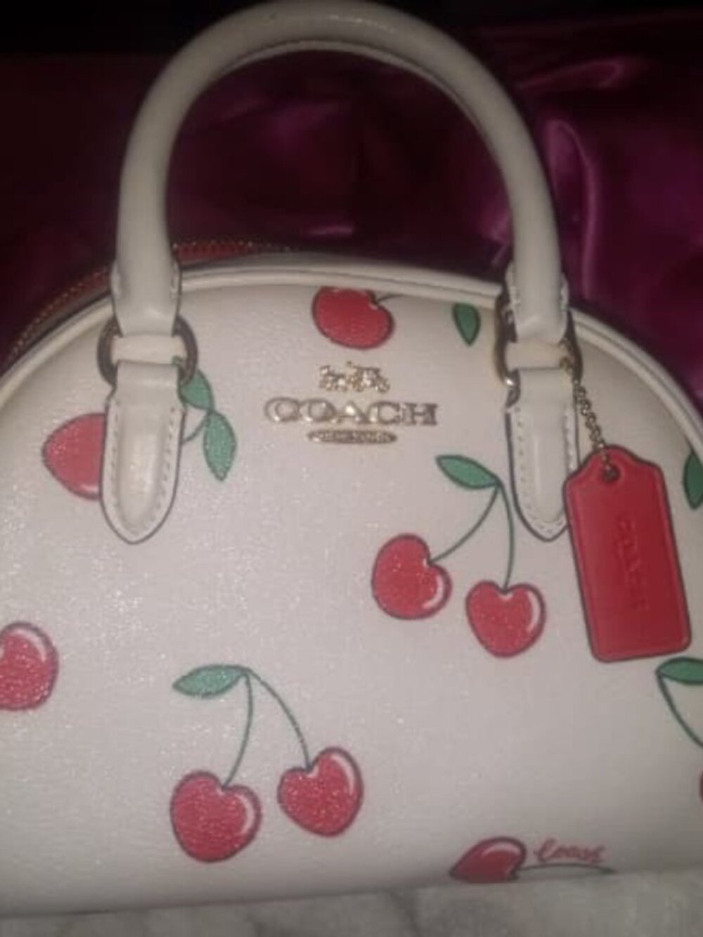 Coach Cherry Bag Cream